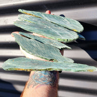 500g Raw New Zealand Greenstone / Pounamu Carving Slices (R14B7)