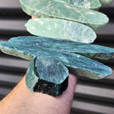 1kg Raw New Zealand Greenstone / Pounamu Carving Slices (R14B192)