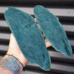 823g Raw New Zealand Greenstone / Pounamu Carving Slices (R14B187)