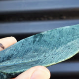 500g Raw New Zealand Greenstone / Pounamu Carving Slices (R14B29)